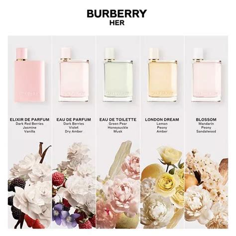 what are the notes in burberry perfume|Burberry her smell like.